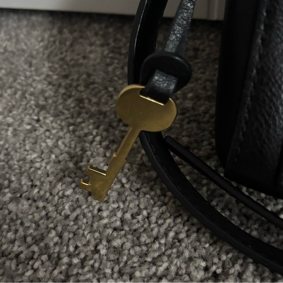 Fossil Chelsea Bag - Picture 11 of 12